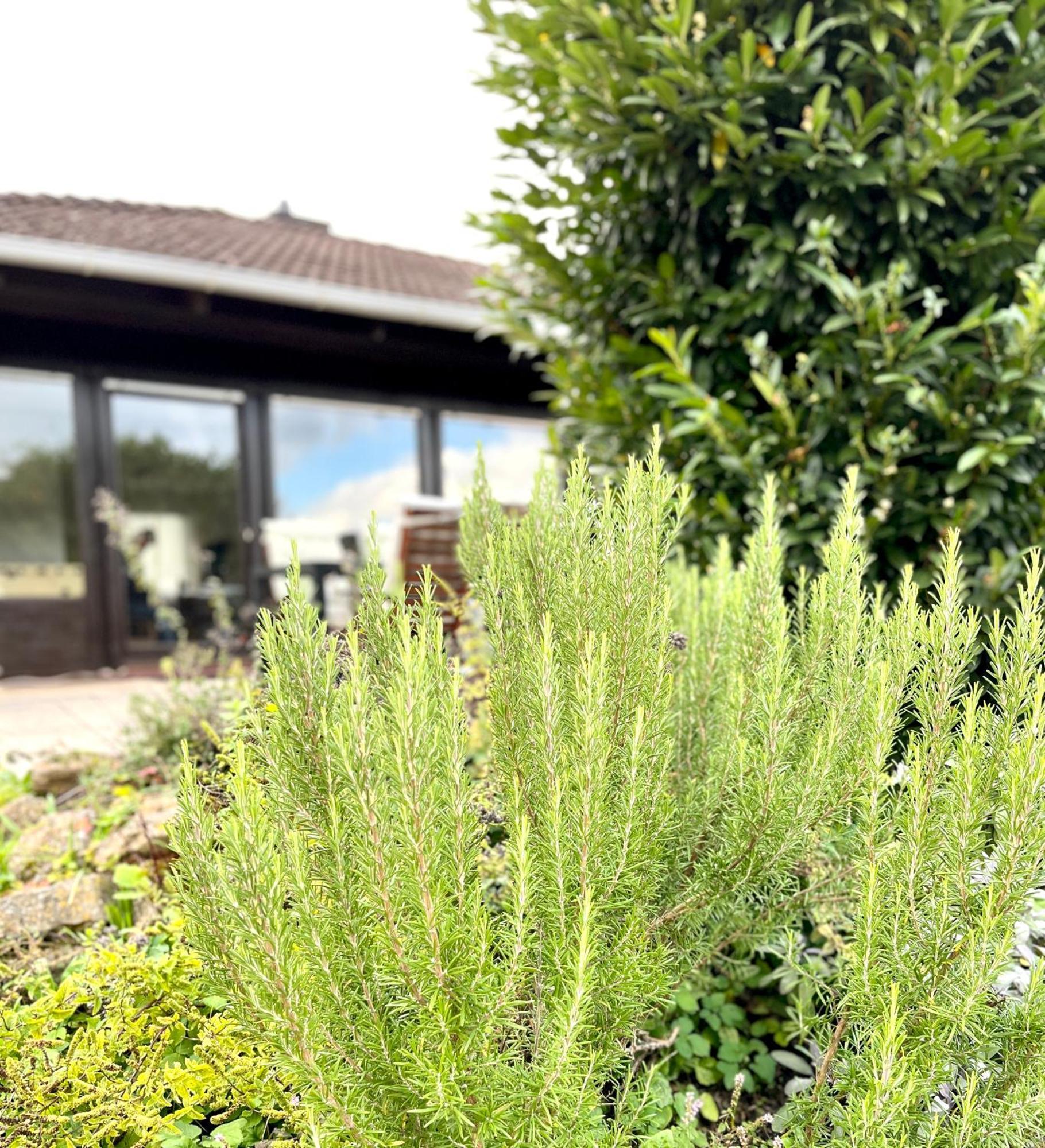 Ferienhaus Weinbergblick - Nahe Wuerzburg - 2 Schlafzimmer - Familienfreundlich - Terrasse Unterleinach Экстерьер фото